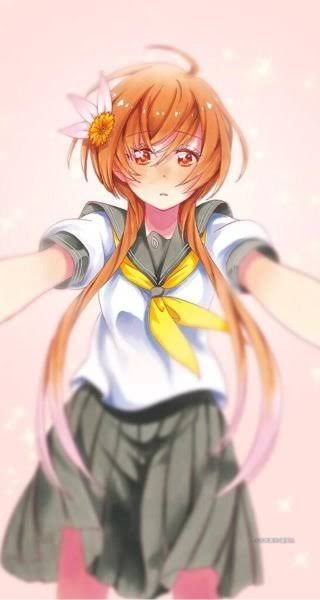 漫画、アニメのニセコイについて語ろう