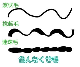 地毛に戻したい人・戻している人。