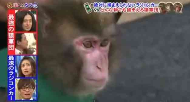 最強VS最強 たて×ほこ 考えましょう