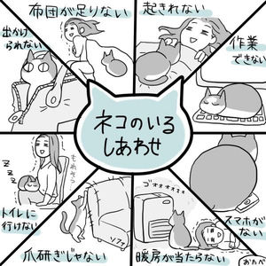 猫がどいてくれないのはどうして?4つの心理