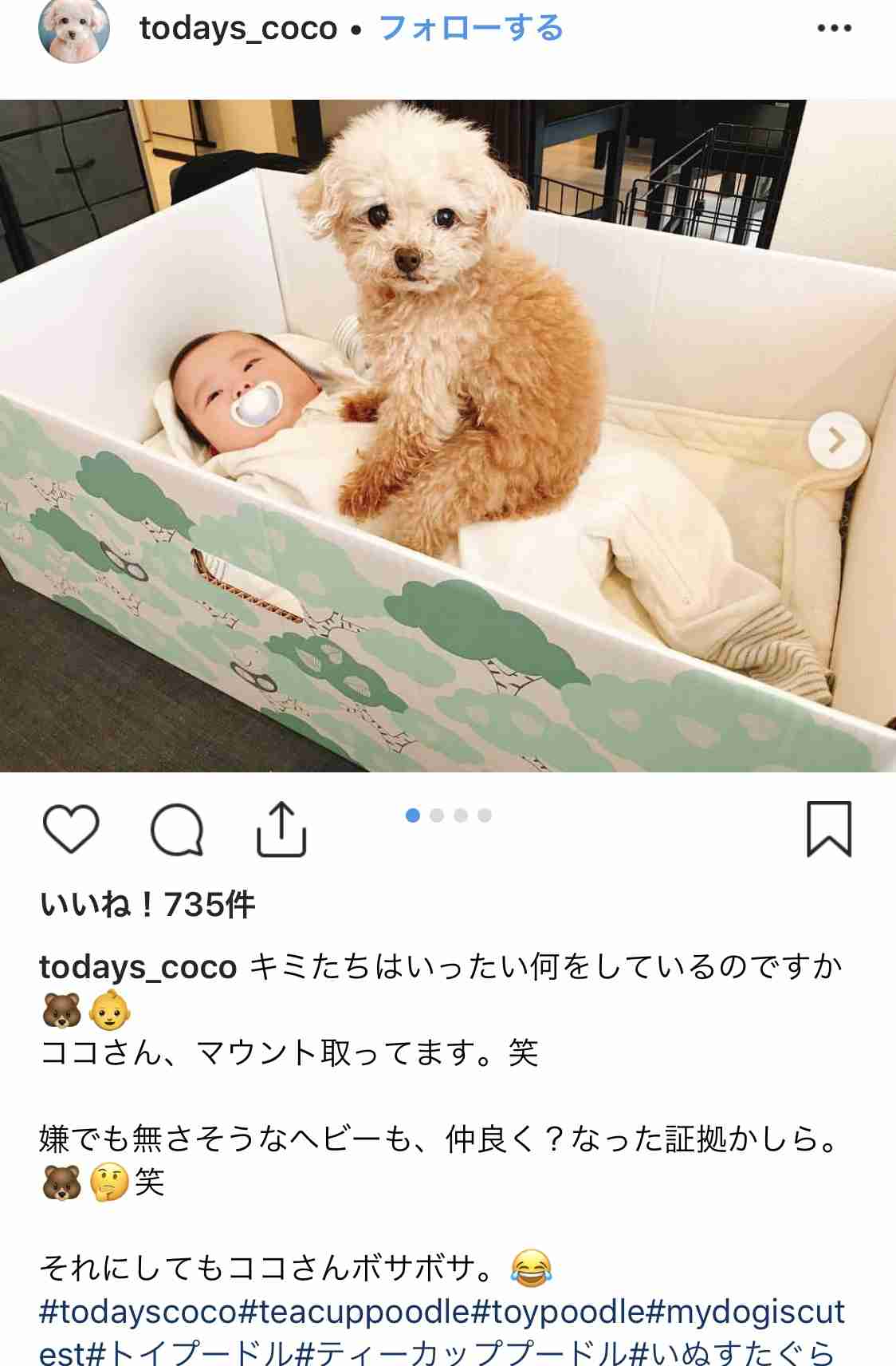 ガルちゃんの自由帳トピpart2