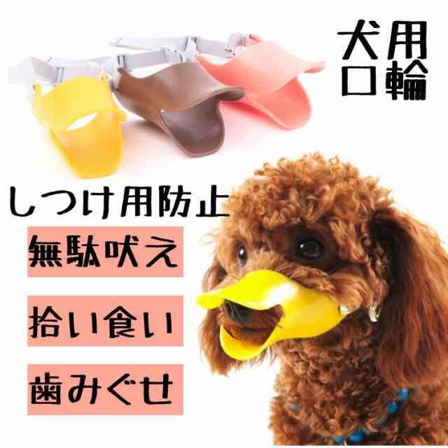 犬のしつけ