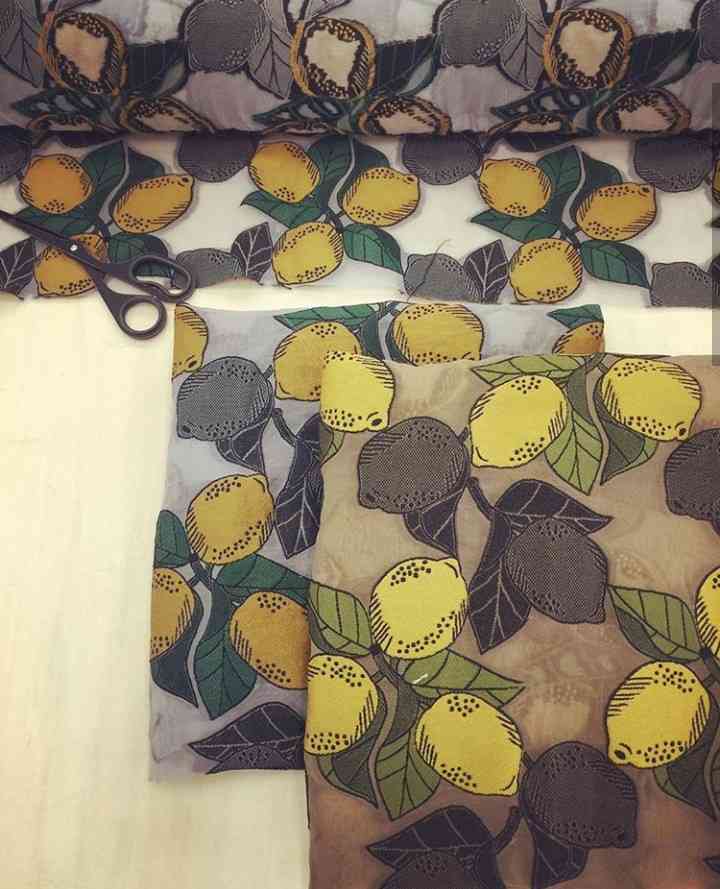 色んな「レモン」が見たい