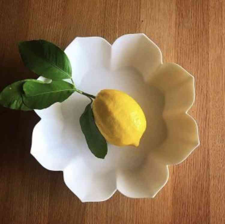 色んな「レモン」が見たい