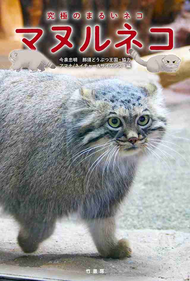 あなたが可愛いと思う動物