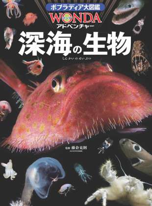 あなたが可愛いと思う動物