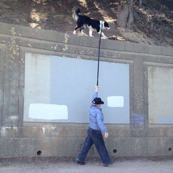 ありえないと思った画像を貼るトピ