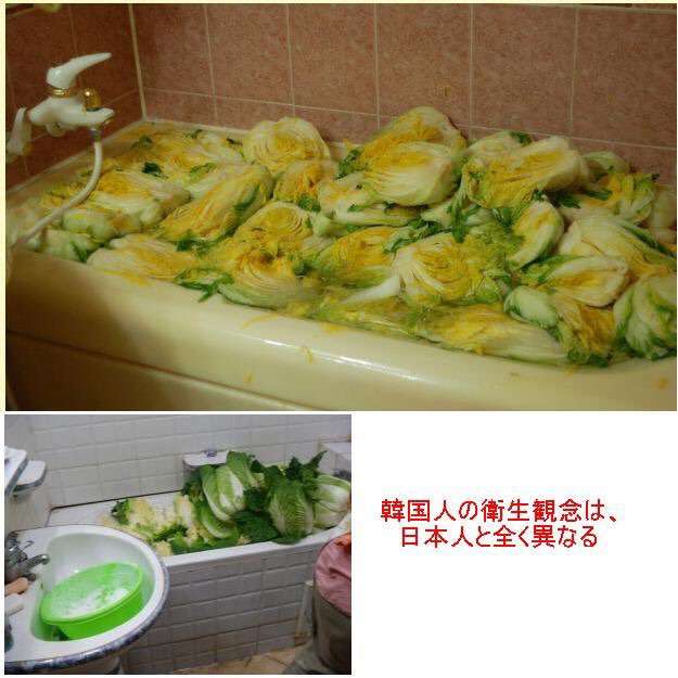 ありえないと思った画像を貼るトピ