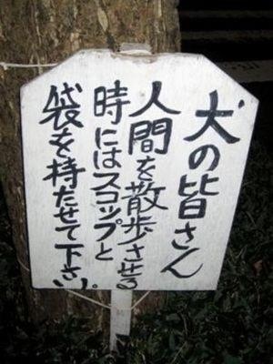 ありえないと思った画像を貼るトピ