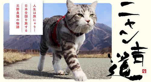 誰のインスタ、フォローしてますか?