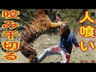 猫を連れ去り50匹以上殺害 51歳男の身勝手な動機による凶行に戦慄走る