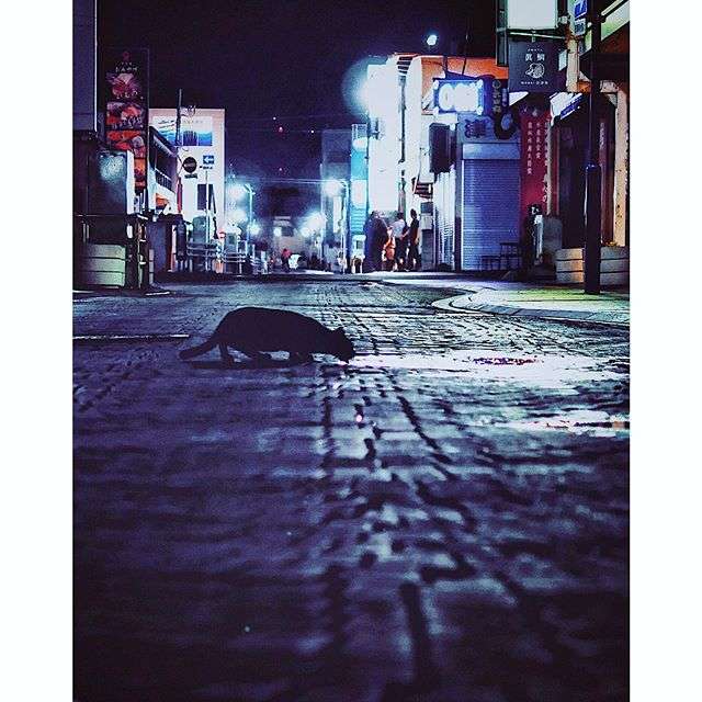 路地裏の写真をひたすら貼るトピ