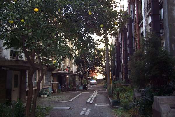 路地裏の写真をひたすら貼るトピ