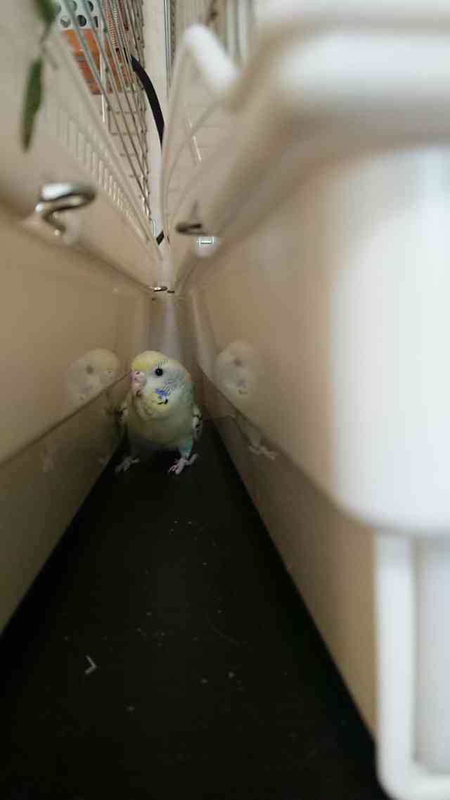 路地裏の写真をひたすら貼るトピ