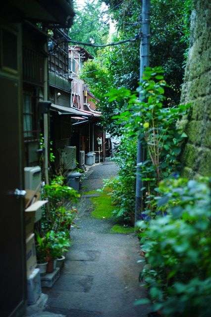 路地裏の写真をひたすら貼るトピ