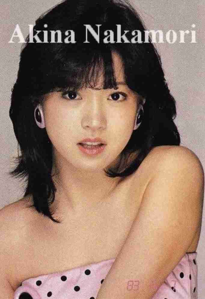 女性アイドルの全盛期の時の画像