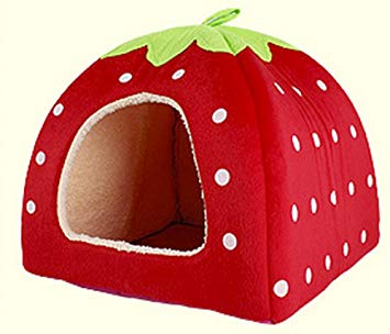 【猫を飼っている方限定】買って良かったもの、良くなかったものPart2