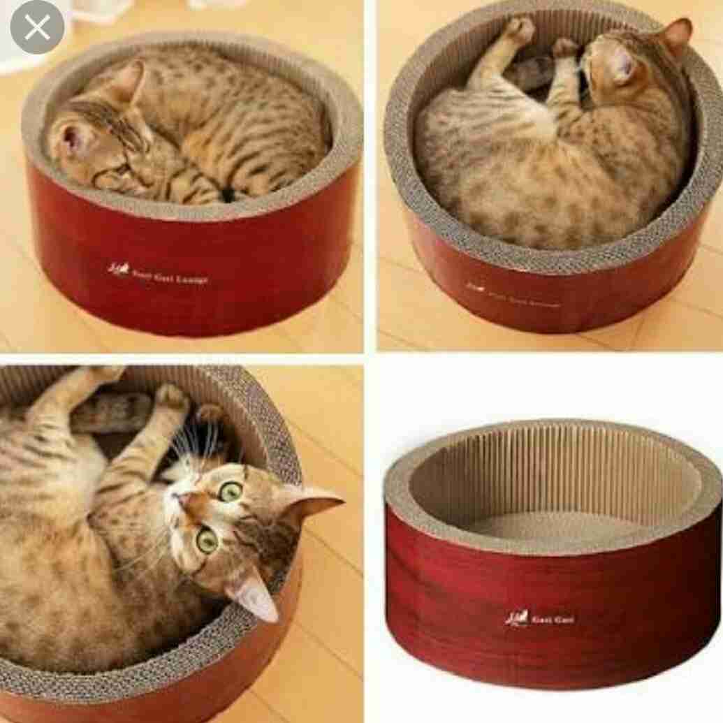 【猫を飼っている方限定】買って良かったもの、良くなかったものPart2