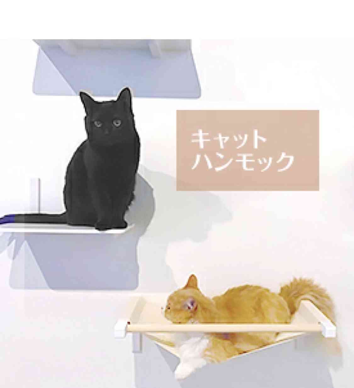 【猫を飼っている方限定】買って良かったもの、良くなかったものPart2