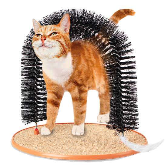 【猫を飼っている方限定】買って良かったもの、良くなかったものPart2