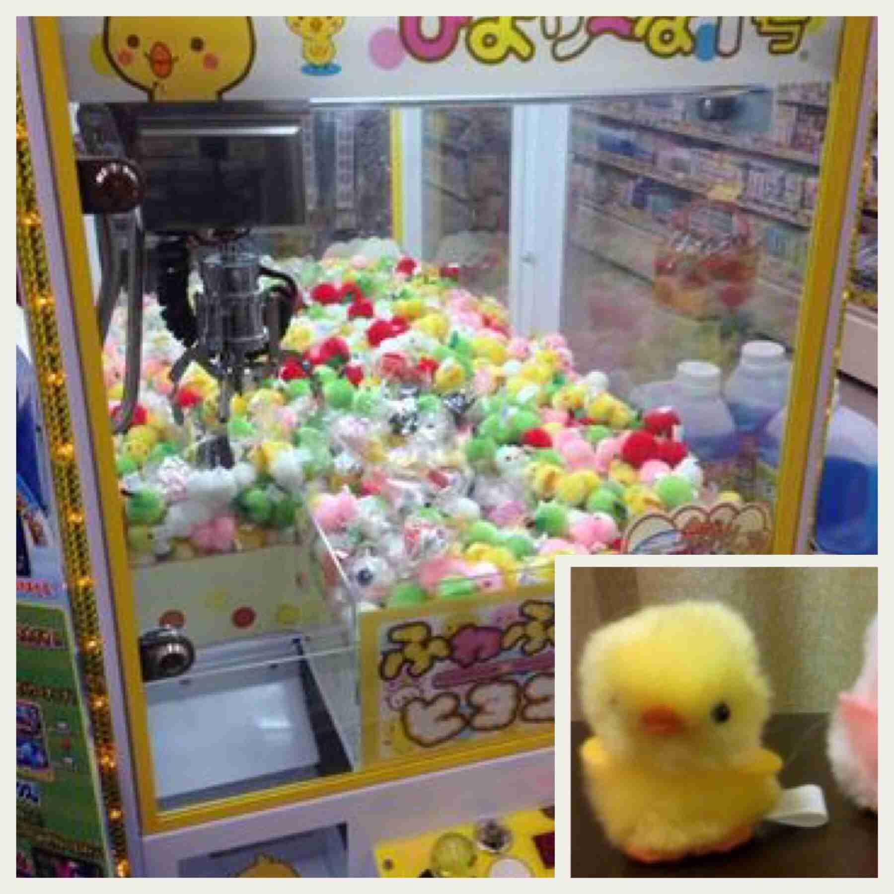 【猫を飼っている方限定】買って良かったもの、良くなかったものPart2