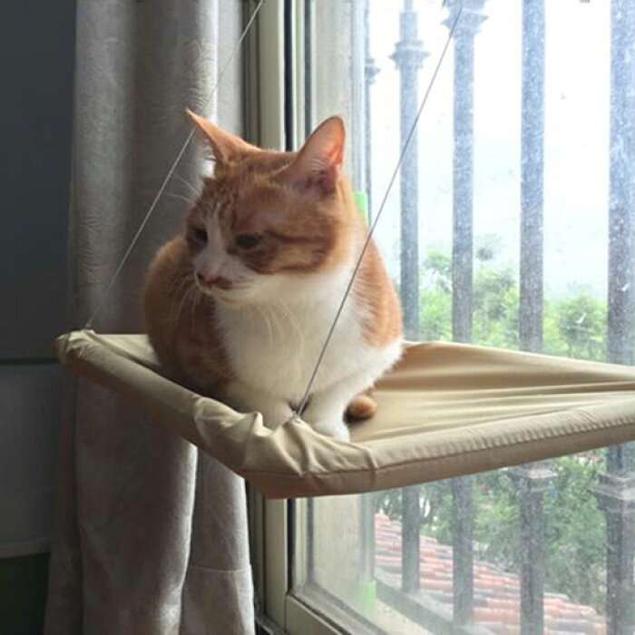 【猫を飼っている方限定】買って良かったもの、良くなかったものPart2