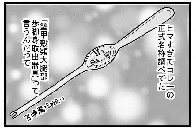 正式名称が分かるものにプラス