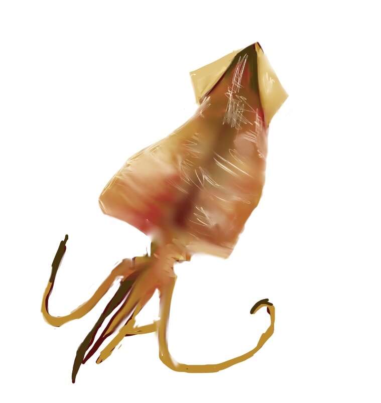 絵しりとりしましょう！