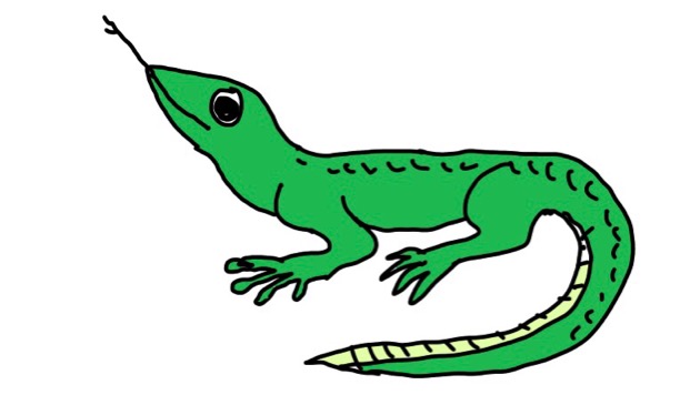 絵しりとりしましょう！
