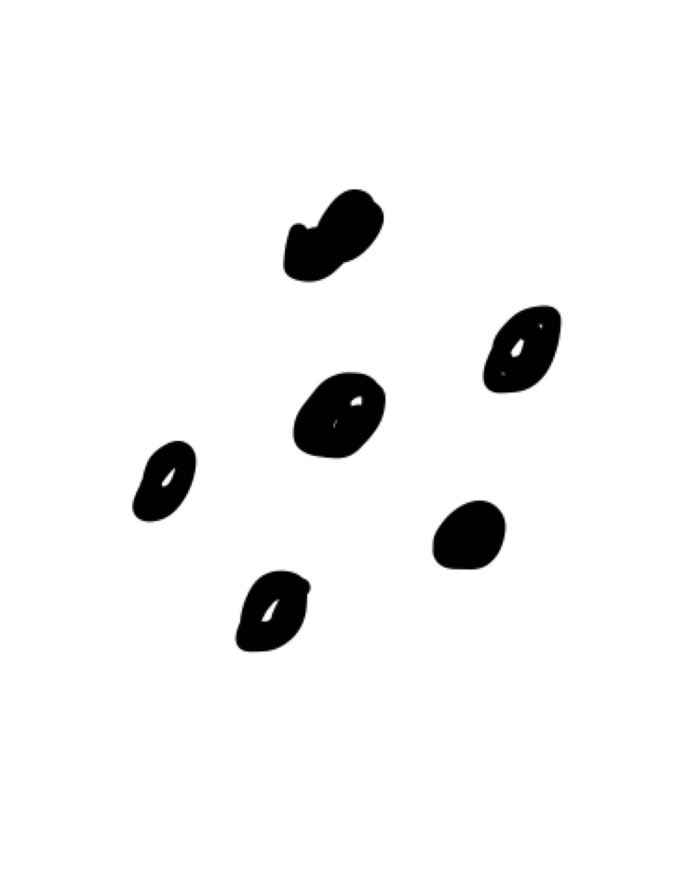 絵しりとりしましょう！