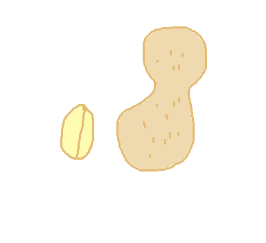 絵しりとりしましょう！
