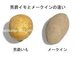 戦国時代と男色文化について語ろう