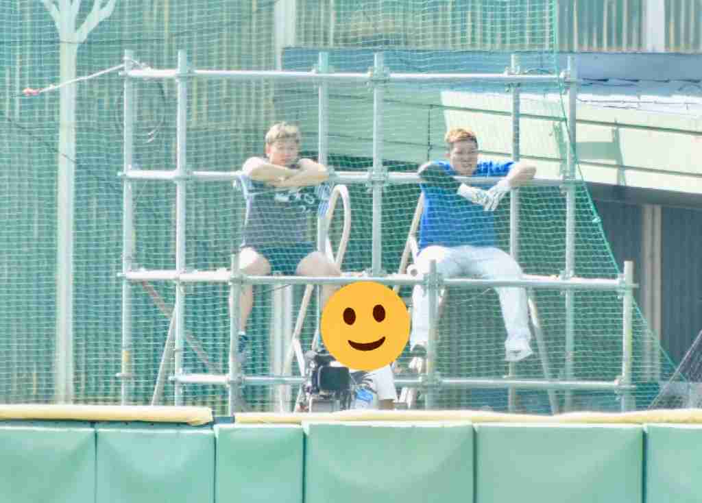 西武ライオンズファントピ