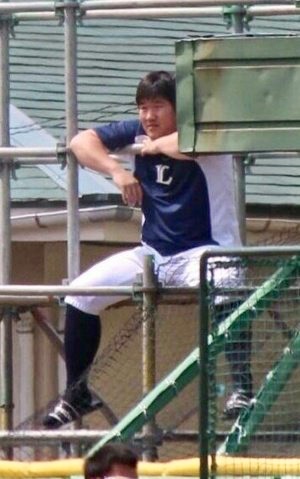 西武ライオンズファントピ