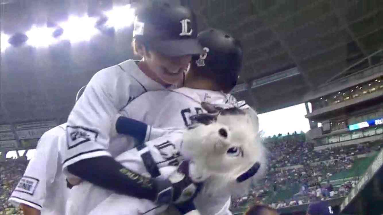 西武ライオンズファントピ