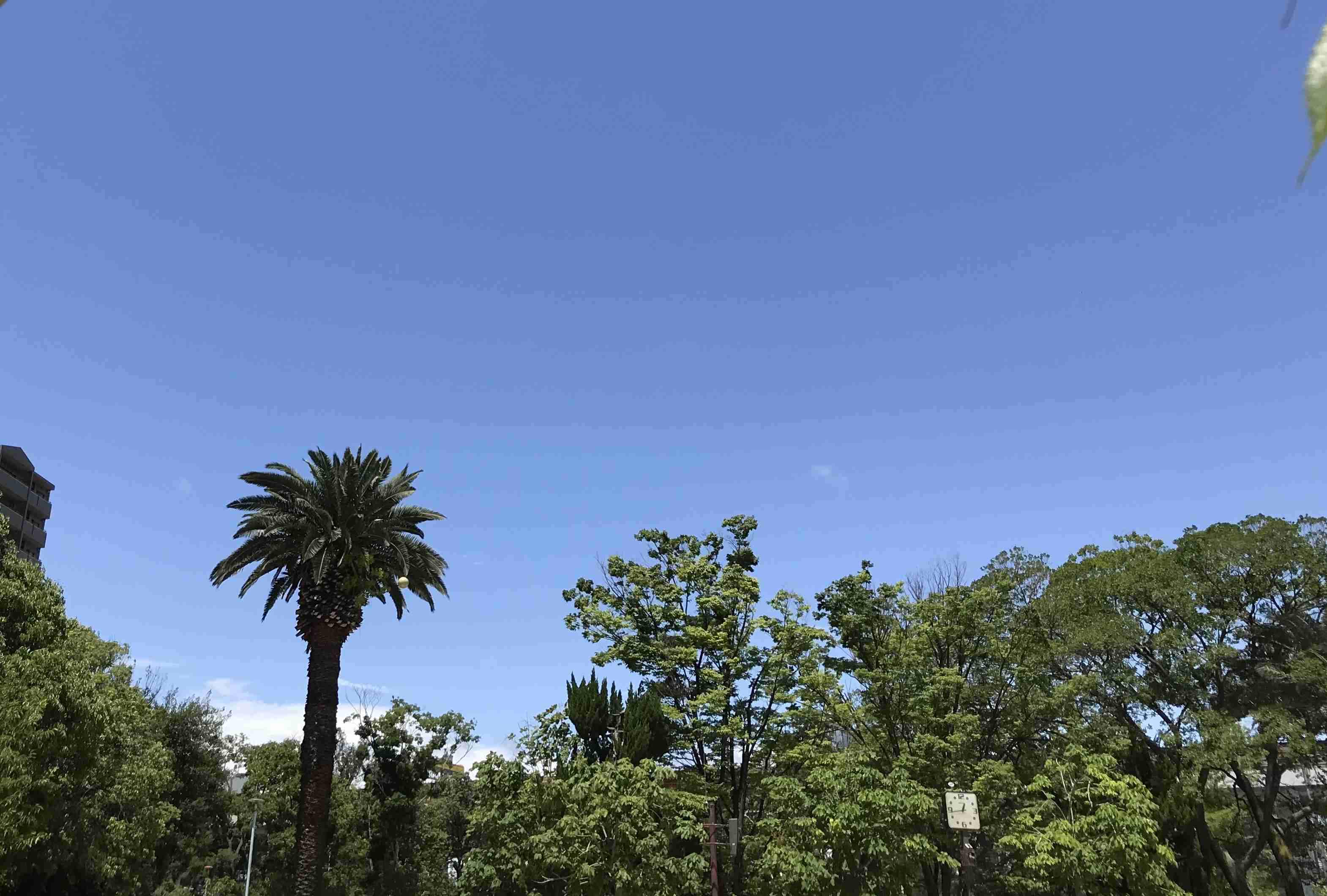 【実況】みんなの地域の天気【6月15日(土)】