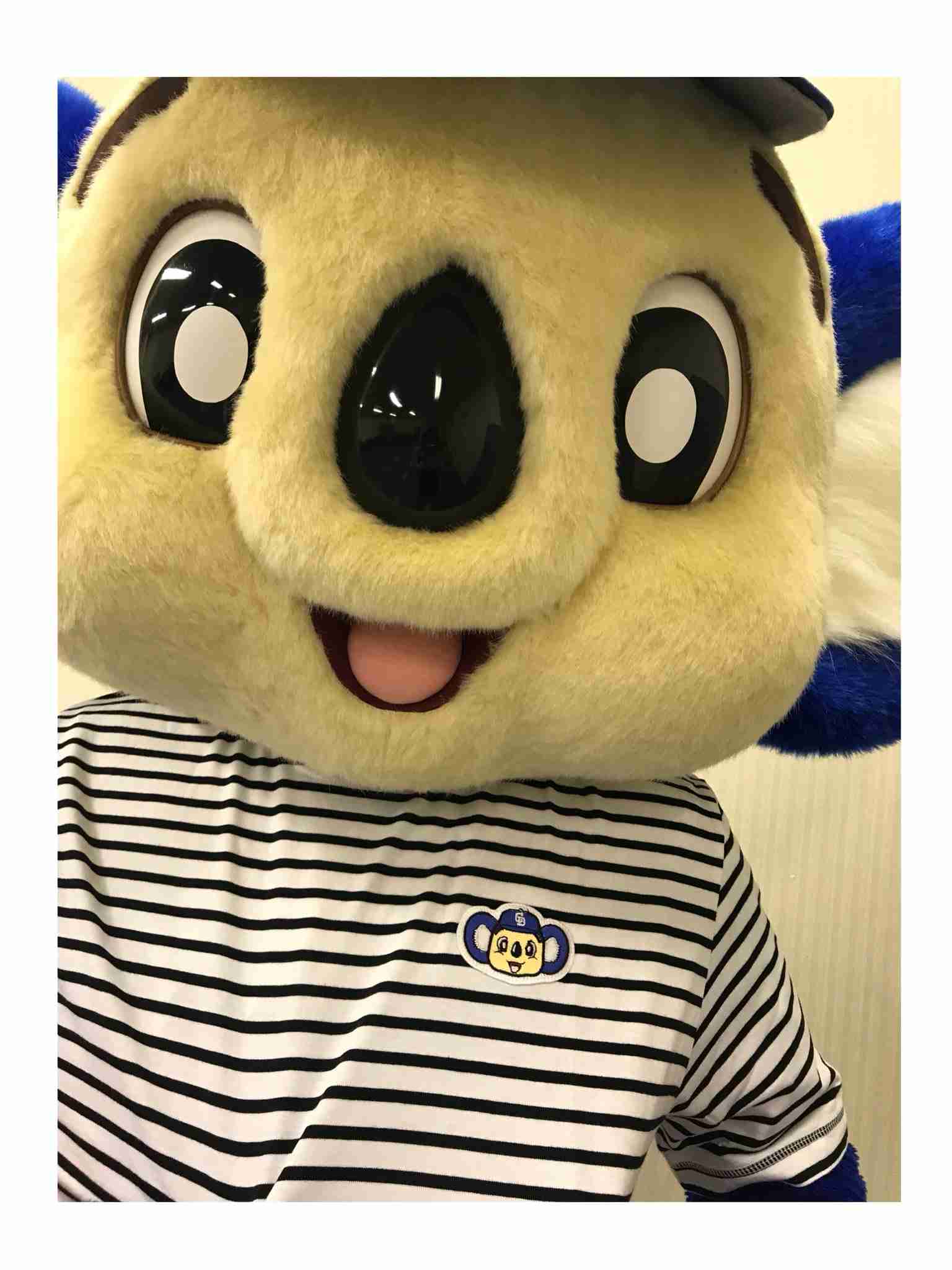 中日ドラゴンズ大好き！