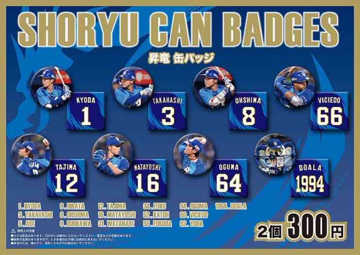 中日ドラゴンズ大好き！