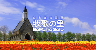 子連れで行ける観光地
