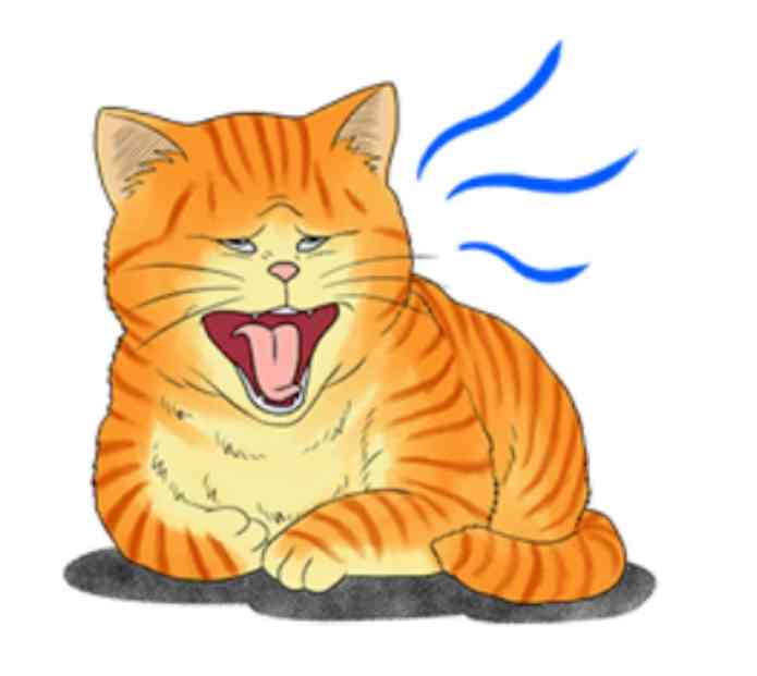 ガルちゃん猫カフェ40号店 開店しました♪ (初めての方も大歓迎！)
