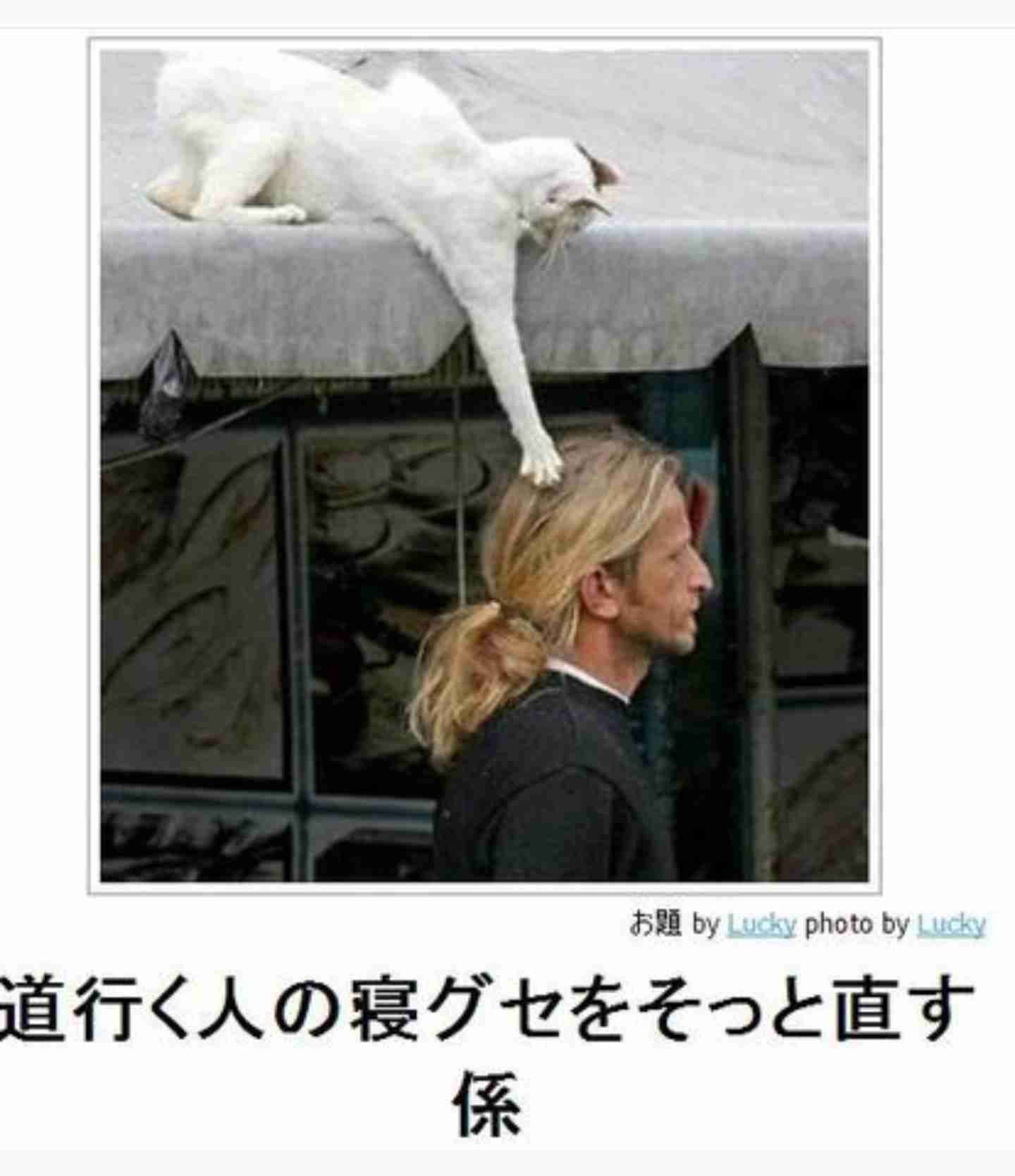 ガルちゃん猫カフェ40号店 開店しました♪ (初めての方も大歓迎！)