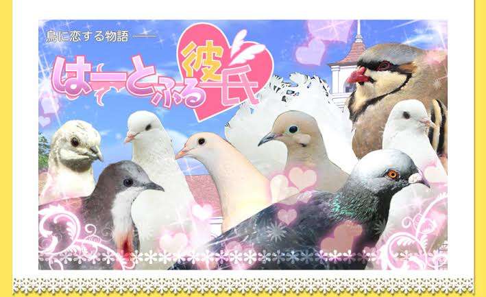 鳩の被害者集まれ