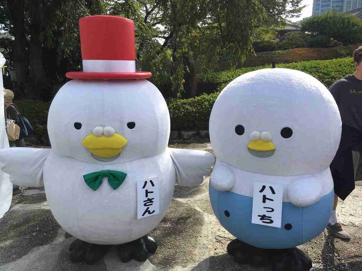 鳩の被害者集まれ