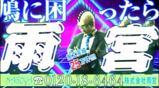 鳩の被害者集まれ