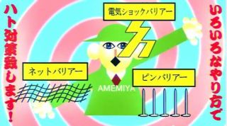 鳩の被害者集まれ