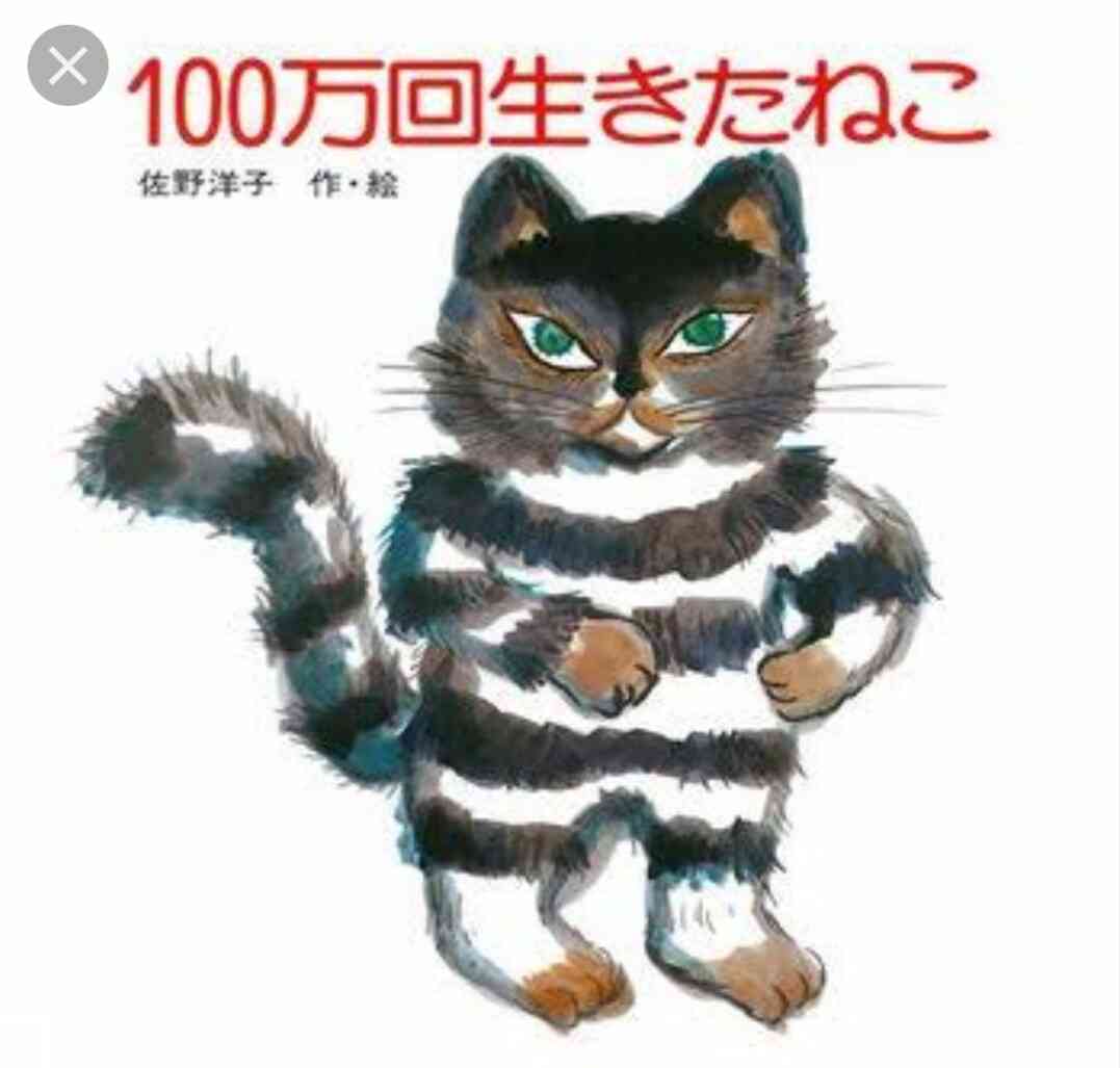 泣ける絵本、泣いた絵本