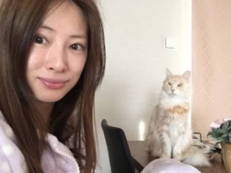 マツコ・デラックス、北川景子、綾瀬はるか「スッピンを見てみたい芸能人ランキング」