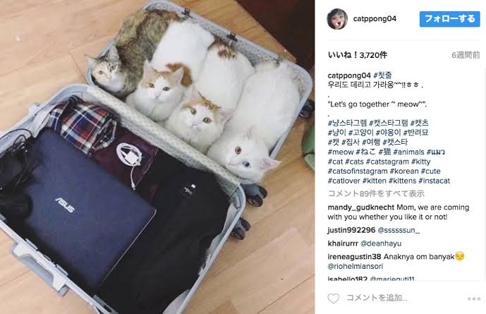 声優・花江夏樹さんのツイートで話題の「旅行に連れてけマン」とは……！？