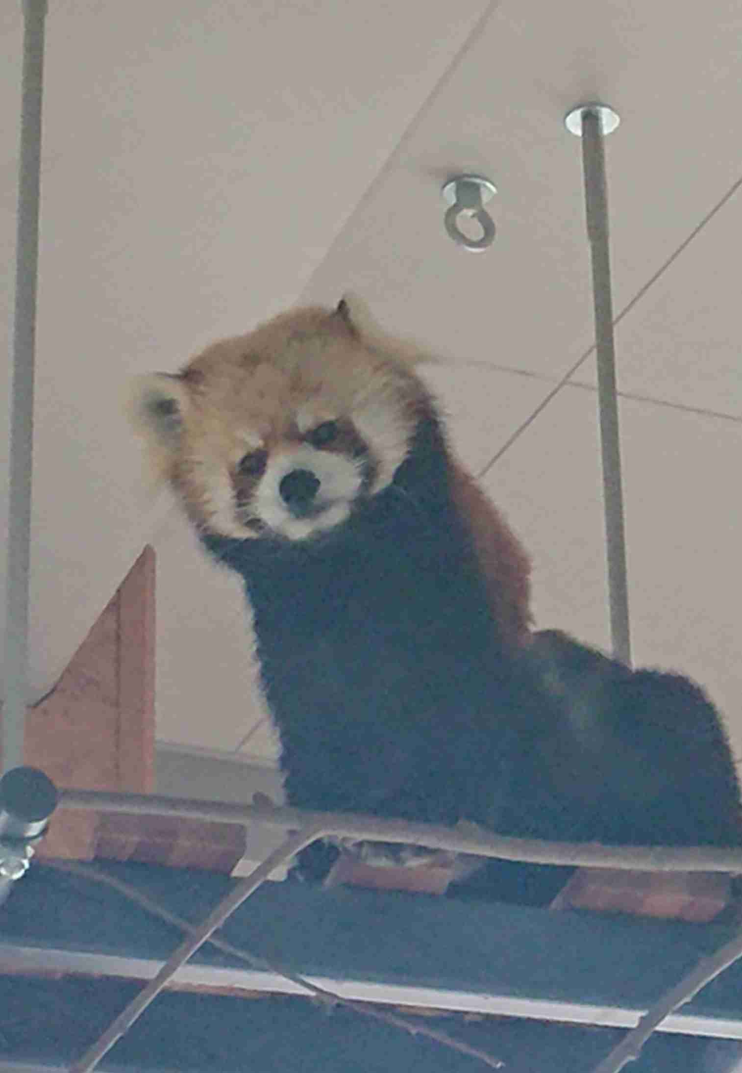 〔ネタ〕誰も正解を言わないトピ