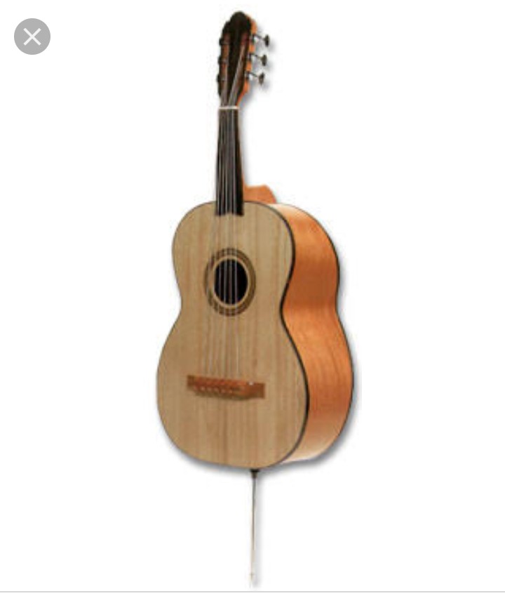 楽器の名前を答えてください